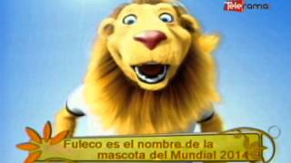 Fuleco es el nombre de la mascota del Mundial 2014 [upl. by Annirak]