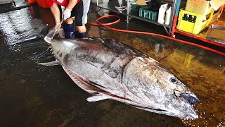 Amazing 307kg Giant Bluefin Tuna Cutting Skills  Taiwan Street Food [upl. by Nudd]