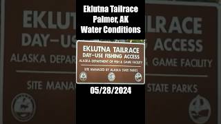 Eklutna Tailrace Alaska 05282024 fishing report  water conditions [upl. by Weatherley]