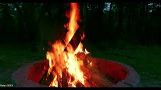 Big campfire in the forest at night 🔥🌳🌲  6 Hrs  4 K [upl. by Hesther649]