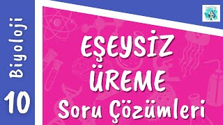 Biyoloji 10Sınıf  Eşeysiz Üreme Soru Çözümleri [upl. by Trici]