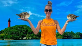 Catching Pufferfish from Shore  Crab vs Shrimp  Catch Clean Cook [upl. by Vijnas]