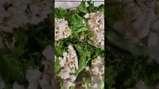 BEST LETTUCE WRAPS IN 10 MINUTES [upl. by Aelber]