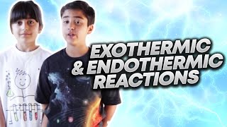 Exothermic and endothermic reactions The Science Kids Chemistry 4 [upl. by Attennod]