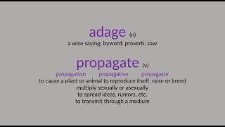 adage amp propagate [upl. by Ati]