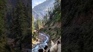 A breathtaking glimpse of Ratti Galli Kashmir Majestic views goats on the road nature at its best [upl. by Nawyt]