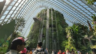 MustSee in Singapore Flower Dome amp Cloud Forest at Gardens by the Bay [upl. by Benedikt]