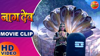 नाग पंचमी पर करें Naagdev का भव्य दर्शन  Naagdev  Enterr10Rangeela [upl. by Aivax]