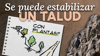 Así influye la VEGETACIÓN en la ESTABILIDAD de taludes [upl. by Atelahs]