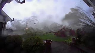 Every tree in this Michigan yard came down during tornado conditions [upl. by Asital435]