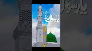 Beautiful Islamic 🤩 Video shorts islamic shortsvideo makkah youtubeshorts allah shortvideo [upl. by Kcireddor]