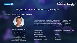 Webinar Regulation of CNS Inflammation by Astrocytes [upl. by Fifi674]