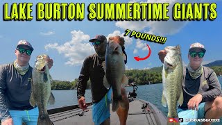 Lake Burton BIG SUMMERTIME BASS  North Georgia 24 Pound Bag [upl. by Alolomo]