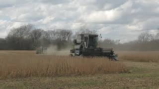 Gleaner F2 amp F3 Poor mans 30 ft header [upl. by Noramac]