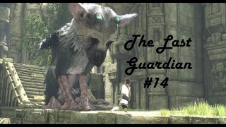 Let´s Play The Last Guardian 14 Futter Organisation [upl. by Adnih171]