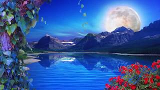 Nature Background Loop  Free Background  HD  60 fps [upl. by Eytteb]