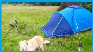 Metal Detecting Overnighter  Detecting Camping amp Fire Starting [upl. by Atteloc635]