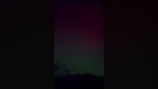 Northern Lights  purple and greens northernlights anglesey nature shorts sky [upl. by Nesto]