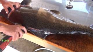 How to fillet a Salmon [upl. by Webster43]