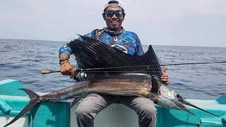 ikan layaran vs cangkek 6 lb [upl. by Artep808]