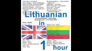 Lithuanian language course Anglų lietuvių kalbos pamokos kursas [upl. by Neeroc723]