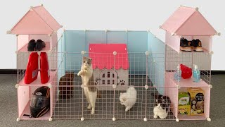 How To Make House amp Play Area For Pomeranian Puppies amp Kitten At Home Ideas  DIY Dog Cat  MR PET [upl. by Ferdinanda]