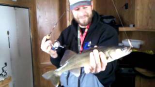 Minnesota Ice Fishing  Lake of the Woods Ice Fishing Report Video 2212 [upl. by Yanal]