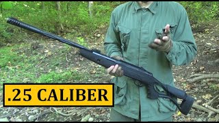 Hatsan AirTact 25 Caliber Pellet Rifle 125 Review  Budget Friendly Air Gun Series [upl. by Armillda53]