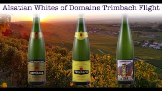 A conversation with Anne Trimbach of Domaine Trimbach [upl. by Saidee]