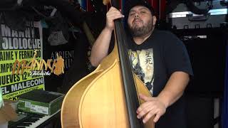 Una Flor Quise Cortar Slappin Da Bass Cover Season 2  Manny Tololoche [upl. by Aihsyak508]