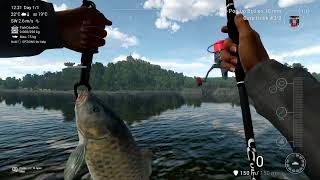 Fishing Planet  Trophy Carp Carp Rod and Boilies Mission [upl. by Antony]