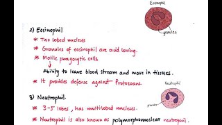 Basics of Immunology  White Blood Cells WBC or leucocytes [upl. by Nitniuq]