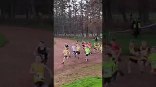 Lindsays District XC Championships 2024 Race Start Footage North [upl. by Sykes]