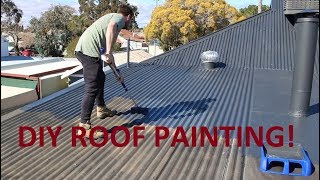 How To Paint Your Roof With A Broom [upl. by Nyraf]