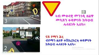 መልሲ ን ሕቶታት rመበል 40 ሰሙን körkort teori 2024 [upl. by Abigael]