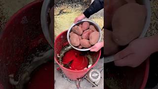 farmingsatisfying agriculture shortfeed ytshortsvideo2022trending [upl. by Yecaj]