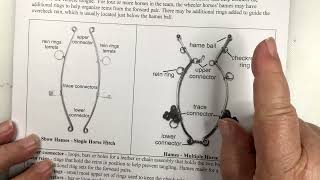 Harness Primmer Part 1 [upl. by Erlene]