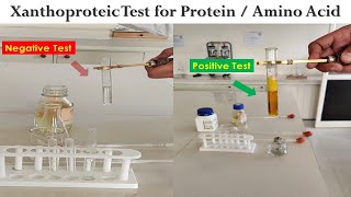 Xanthoproteic Test [upl. by Anaes91]