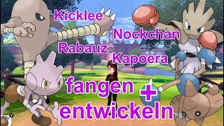 Rabauz Kicklee Nockchan und Kapoera fangen  entwickeln  Pokemon Schwert und Schild [upl. by Maye464]