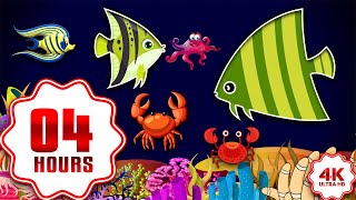 Bedtime Lullabies and Calming Undersea Animation Baby Lullaby 83 Relaxing Baby Sleep Music0 1 [upl. by Flam]