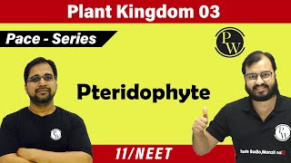 Plant Kingdom 03  Pteridophyte  Class 11  NEET  PACE SERIES [upl. by Mikes432]