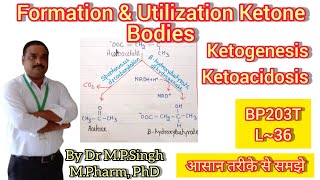 Formation amp Utilization of Ketone Bodies  Ketogenesis  Ketoacidosis  Biochemistry  BP203T  L36 [upl. by Buddy]