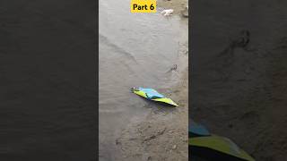 Rc boat testing video  4DS2 RC Speed Boat  RC boat activity shorts [upl. by Luisa]