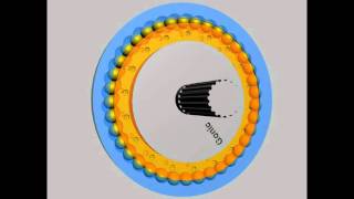 Gonic Cycloidal Drive [upl. by Fang]