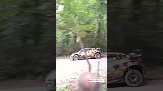 Neuvilles Yaris Rally2 team at Ypres Rally 2024 [upl. by Adehsar]