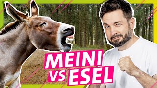 Zuckersüß aber mega stur Meini vs Esel  Das schaffst du nie [upl. by Russom919]