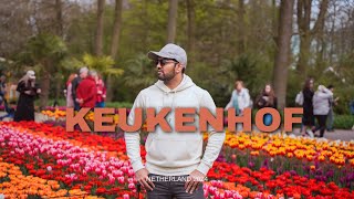 Keukenhof Garden 2024  CINAMATIC [upl. by Inimak]