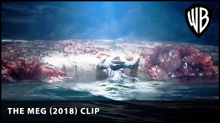 The first kill  The Meg 2018  Warner Bros UK [upl. by Feldstein]