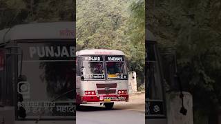 PUNJAB ROADWAYS bus punjabroadways drivery busdriver [upl. by Yelrak]