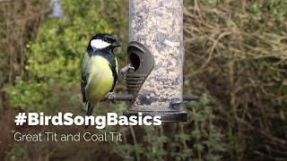 BirdSongBasics  Great Tit and Coal Tit [upl. by Orfield]